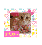みるたん むぎたんの 応援スタンプ（個別スタンプ：39）