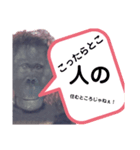 名うーたん言行録1（個別スタンプ：6）