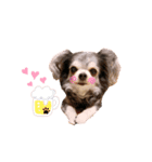 LOVE わん♡（個別スタンプ：6）