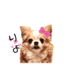 LOVE わん♡（個別スタンプ：8）