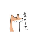 柴犬いろいろ（個別スタンプ：1）