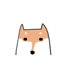 柴犬いろいろ（個別スタンプ：3）