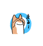 柴犬いろいろ（個別スタンプ：5）