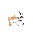 柴犬いろいろ（個別スタンプ：10）