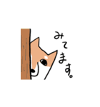 柴犬いろいろ（個別スタンプ：12）