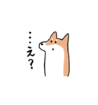 柴犬いろいろ（個別スタンプ：13）