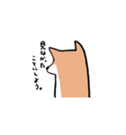 柴犬いろいろ（個別スタンプ：19）