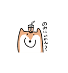 柴犬いろいろ（個別スタンプ：22）