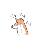 柴犬いろいろ（個別スタンプ：24）