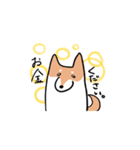 柴犬いろいろ（個別スタンプ：25）