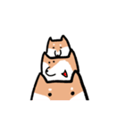 柴犬いろいろ（個別スタンプ：32）