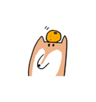 柴犬いろいろ（個別スタンプ：33）