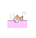 柴犬いろいろ（個別スタンプ：35）