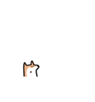 柴犬いろいろ（個別スタンプ：37）