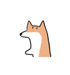 柴犬いろいろ（個別スタンプ：38）