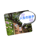 Link☆Yuika（個別スタンプ：36）