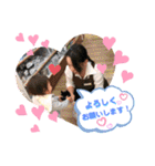 Link☆Yuika（個別スタンプ：38）