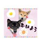 こてつくね♡（個別スタンプ：1）