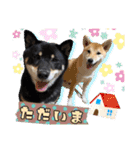こてつくね♡（個別スタンプ：4）