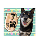こてつくね♡（個別スタンプ：8）