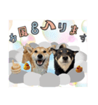 こてつくね♡（個別スタンプ：11）
