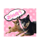 こてつくね♡（個別スタンプ：13）
