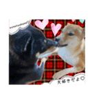 こてつくね♡（個別スタンプ：14）