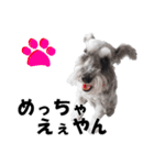 シュナスタ大阪弁ver.（個別スタンプ：3）