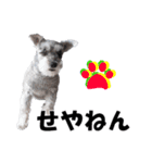 シュナスタ大阪弁ver.（個別スタンプ：8）