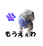 シュナスタ大阪弁ver.（個別スタンプ：14）