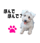 シュナスタ大阪弁ver.（個別スタンプ：18）