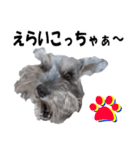 シュナスタ大阪弁ver.（個別スタンプ：22）