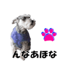 シュナスタ大阪弁ver.（個別スタンプ：23）