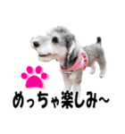シュナスタ大阪弁ver.（個別スタンプ：25）