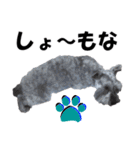 シュナスタ大阪弁ver.（個別スタンプ：39）
