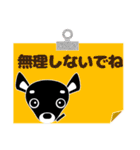 チワワ・犬好きなあなたへ（個別スタンプ：16）