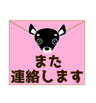 チワワ・犬好きなあなたへ（個別スタンプ：34）