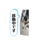 フレンチブルドッグのハート♪（個別スタンプ：10）
