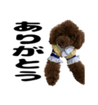 ヌノペッツ（個別スタンプ：7）
