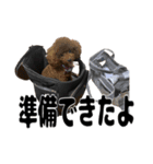 ヌノペッツ（個別スタンプ：9）