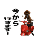 ヌノペッツ（個別スタンプ：10）