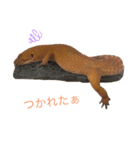 みなちんのレオパ（個別スタンプ：3）