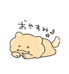 わんわんまるちゃん（個別スタンプ：10）