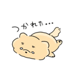 わんわんまるちゃん（個別スタンプ：12）