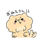 わんわんまるちゃん（個別スタンプ：16）