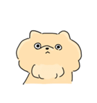 わんわんまるちゃん（個別スタンプ：19）