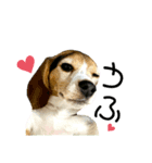 続♡はぁたん♡（個別スタンプ：5）