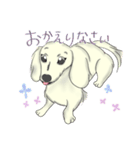 甘えんぼダックス【喜怒哀楽】（個別スタンプ：8）