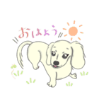 甘えんぼダックス【喜怒哀楽】（個別スタンプ：19）