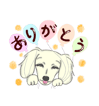 甘えんぼダックス【喜怒哀楽】（個別スタンプ：21）